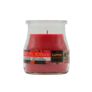 Vaso Yogurt Perfumada Frutas del Bosque