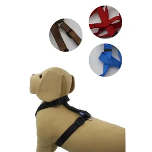 Arnés Liso Para Perro 20MMx50-70cm