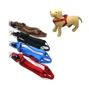 Arnés Para Perro 25MMx70-90cm