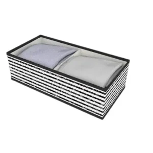 Caja de Almacenamiento 32X16X10CM (2)