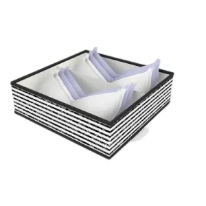 Caja de Almacenamiento 32X32X10CM (2)